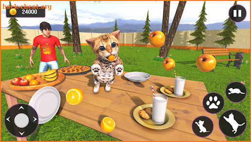 Cat Simulator Pet Cat Games screenshot