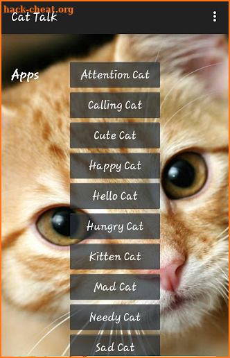 Cat Talk screenshot