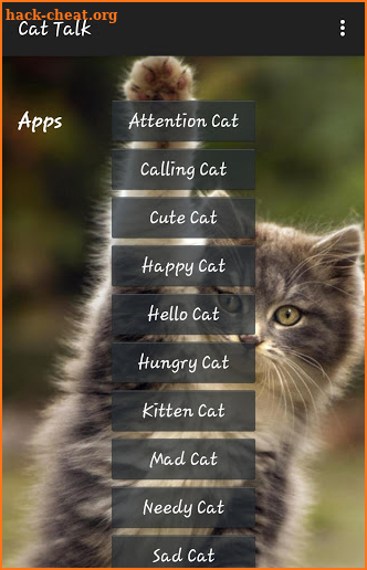 Cat Talk screenshot