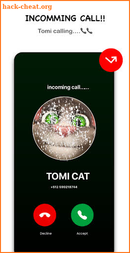 Cat Tom's video call + chat screenshot