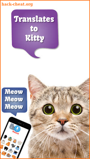 Cat Translate: Speak to your Kitten (simulator) screenshot