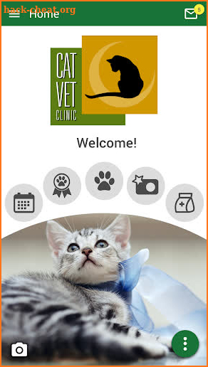 Cat Vet Clinic screenshot