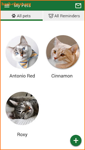 Cat Vet Clinic screenshot