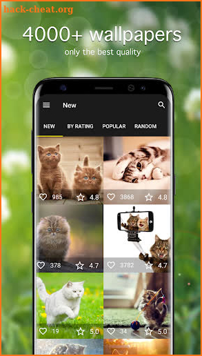 Cat Wallpapers & Kitten Backgrounds screenshot
