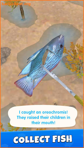 Catch Fish! screenshot