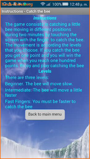 Catch the bee screenshot