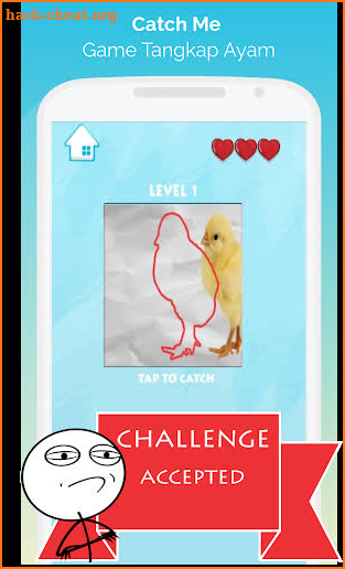 Catching Game - Catch The Chicken 2020 screenshot