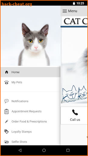 CatClinicFlsm screenshot