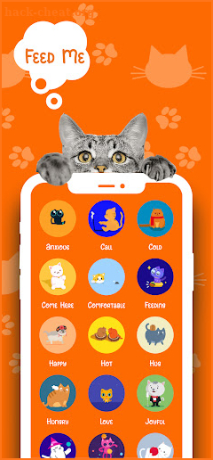 Catify: Cat Translator screenshot