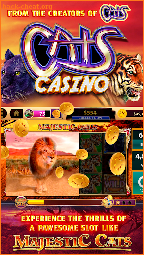 CATS Casino – Real Hit Slot Machine! screenshot