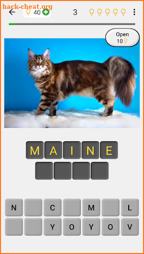 Cats Quiz - Guess Photos of All Popular Cat Breeds screenshot
