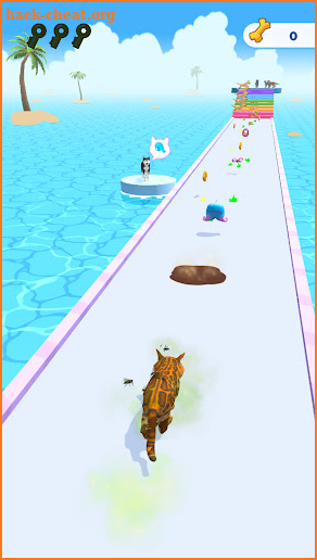 Cats run 3D screenshot