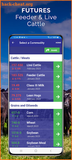 Cattle Market Mobile screenshot