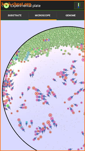 Cell Lab: Evolution Sandbox screenshot
