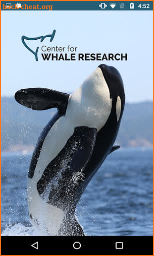Center for Whale Research screenshot