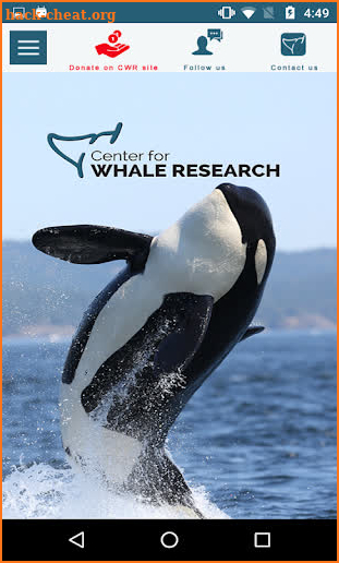 Center for Whale Research screenshot