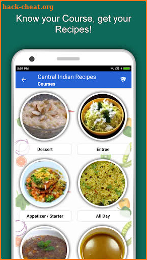 Central Indian Food Recipes screenshot