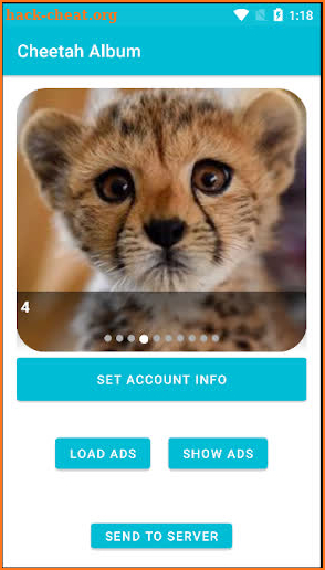 Cheetah Album screenshot
