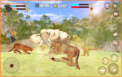 Cheetah Attack Simulator screenshot