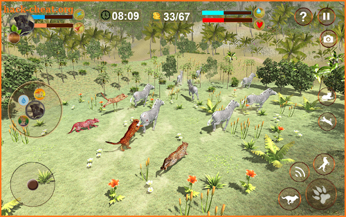 Cheetah Attack Simulator screenshot
