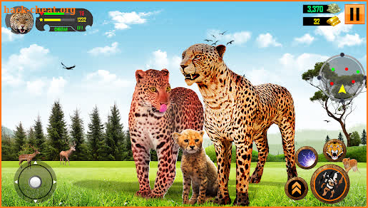 Cheetah Family Sim 3D Game screenshot