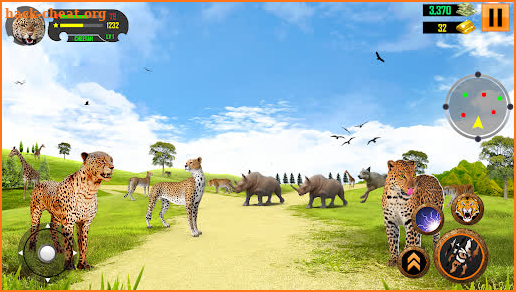 Cheetah Family Sim 3D Game screenshot