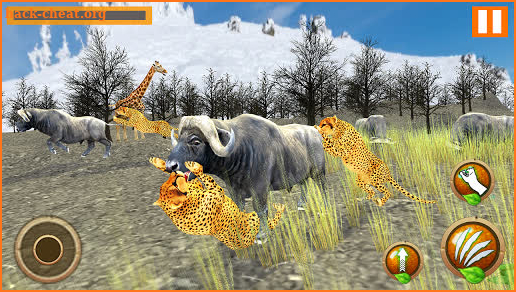 Cheetah Family Simulator screenshot