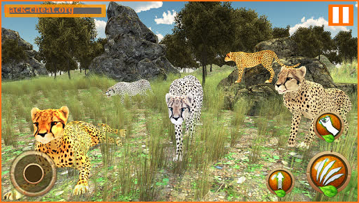 Cheetah Family Simulator screenshot