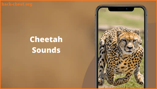 Cheetah Sounds - Best Cheetah Ringtones screenshot