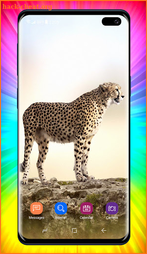 Cheetah Wallpapers screenshot