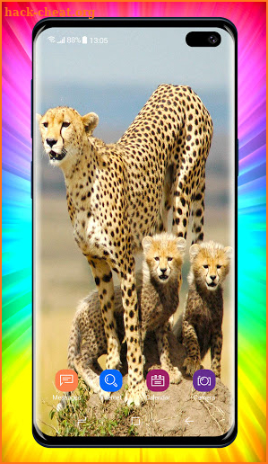 Cheetah Wallpapers screenshot