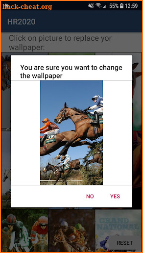 Cheltenham Horse Racing screenshot