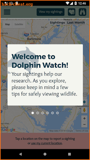 Chesapeake Dolphin Watch screenshot