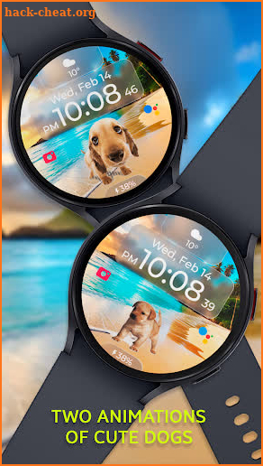 Chester Cute dog watch face screenshot