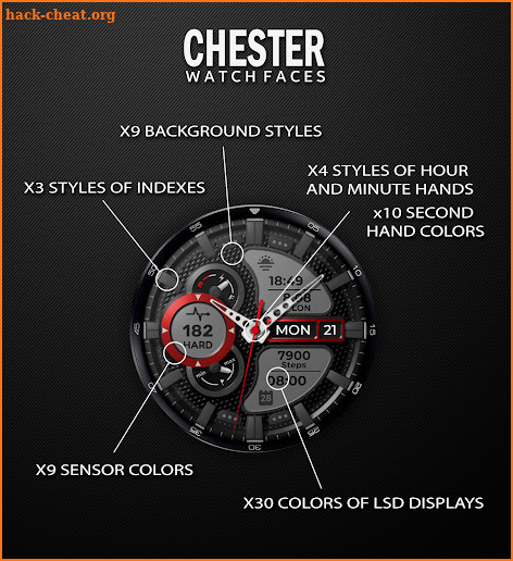 Chester G-Style screenshot