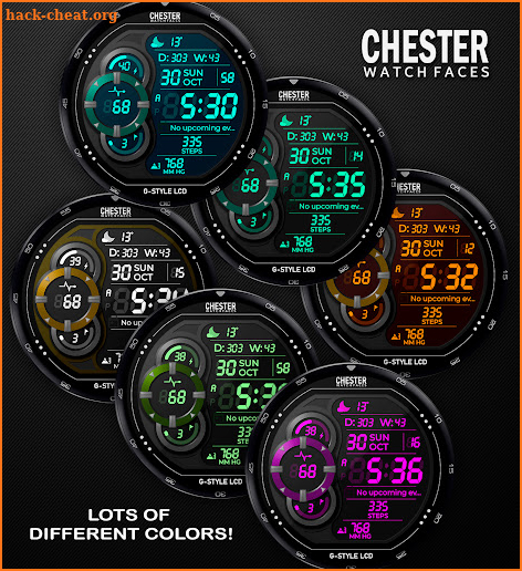 Chester G-Style LCD screenshot