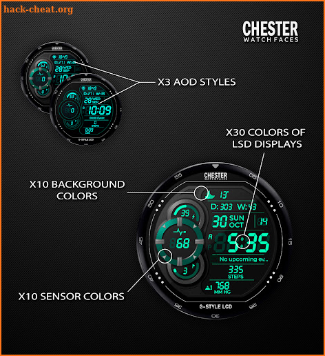 Chester G-Style LCD screenshot