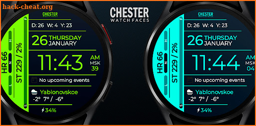 Chester Info Edge watch faces screenshot