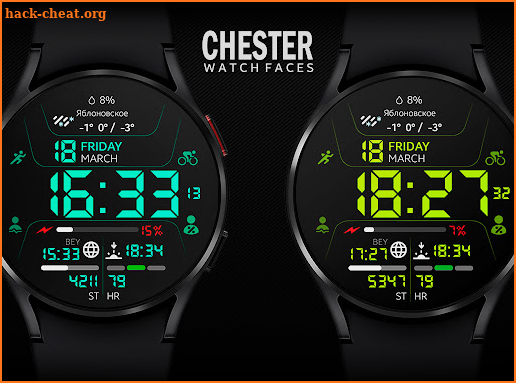 Chester Inform MOD LCD screenshot