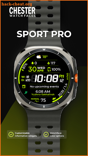 Chester Sport Pro watch face screenshot