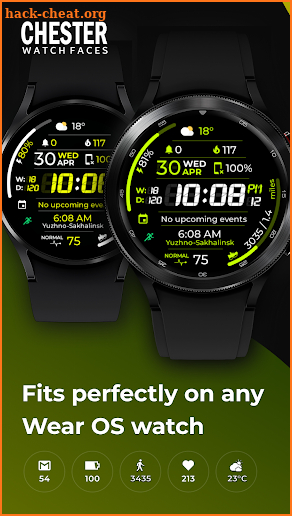 Chester Sport Pro watch face screenshot