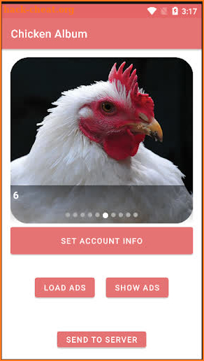 Chicken Album screenshot