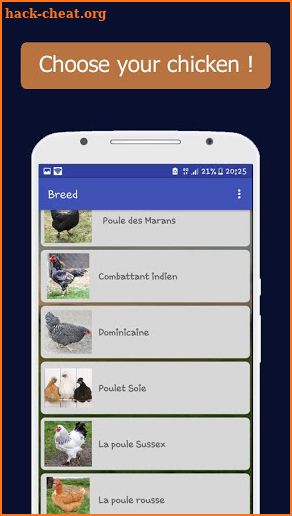 Chicken breeding screenshot