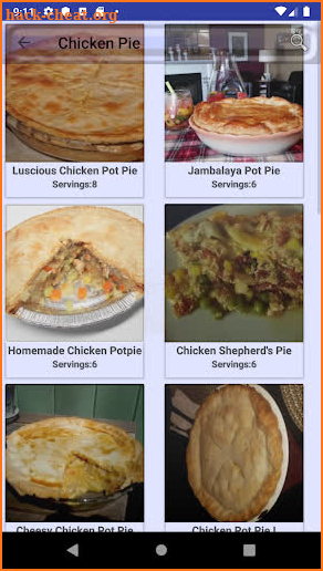 Chicken Pie Recipes screenshot