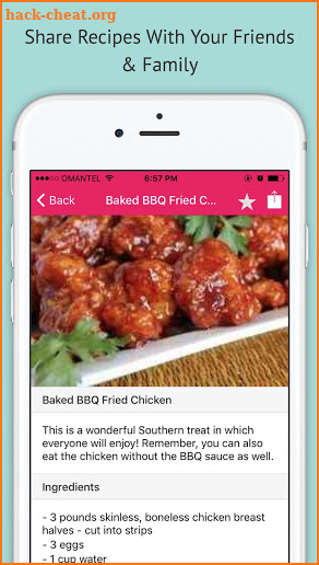Chicken Recipes - Offline screenshot