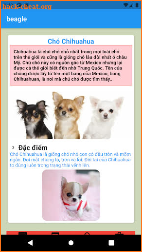 Chihuahua screenshot