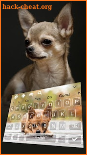 Chihuahua Cute Puppy keyboard Theme screenshot