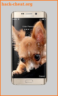 Chihuahua Little Cute Dog Lock Screen PIN Security screenshot