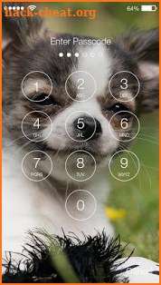Chihuahua Screen Lock screenshot
