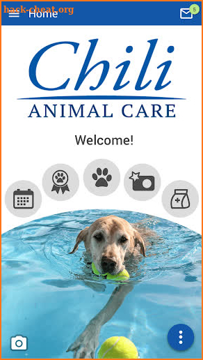 Chili Animal Care screenshot